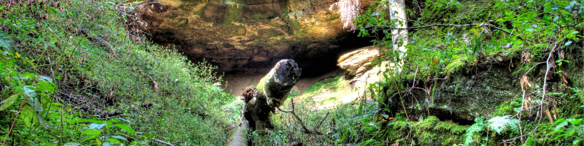 Un profundo desfiladero boscoso con un sendero estrecho que lo atraviesa.