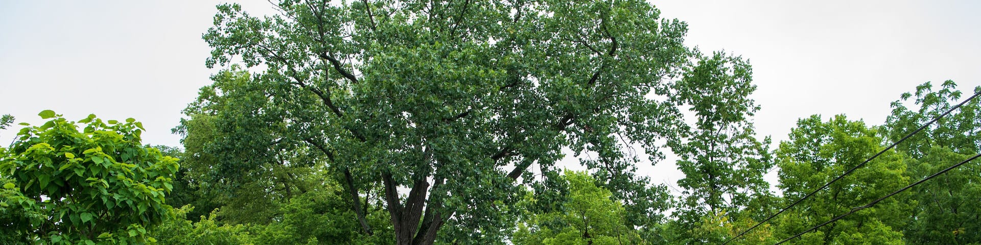 Warnke Covered Bridge in Preble County, Ohio