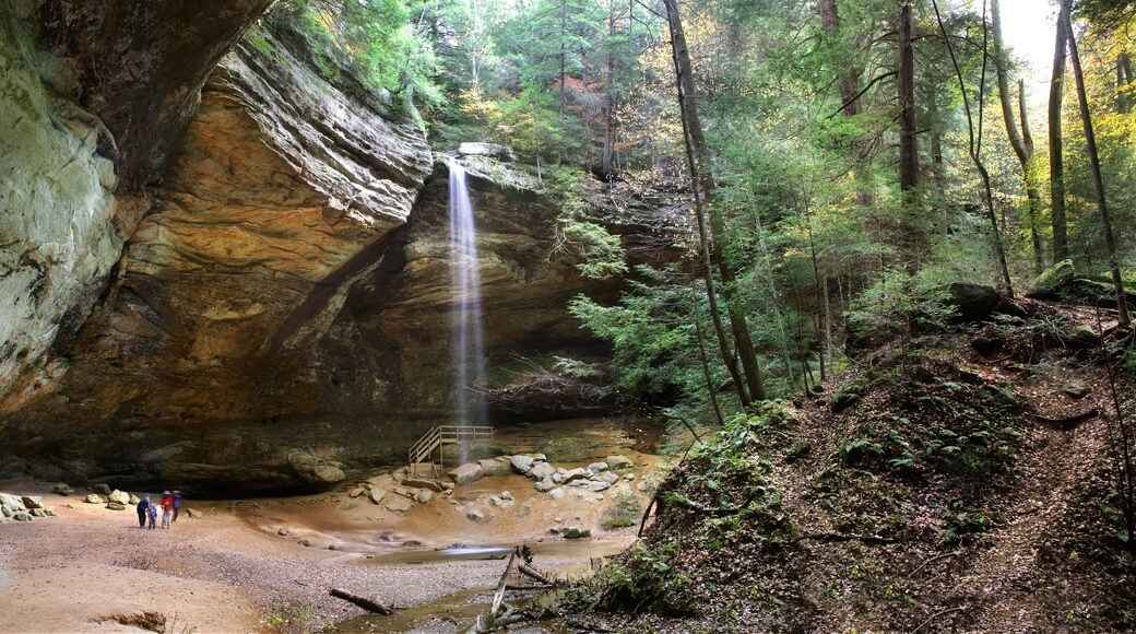 A waterfall cascading down a rocky cliff surrounded by a forest.