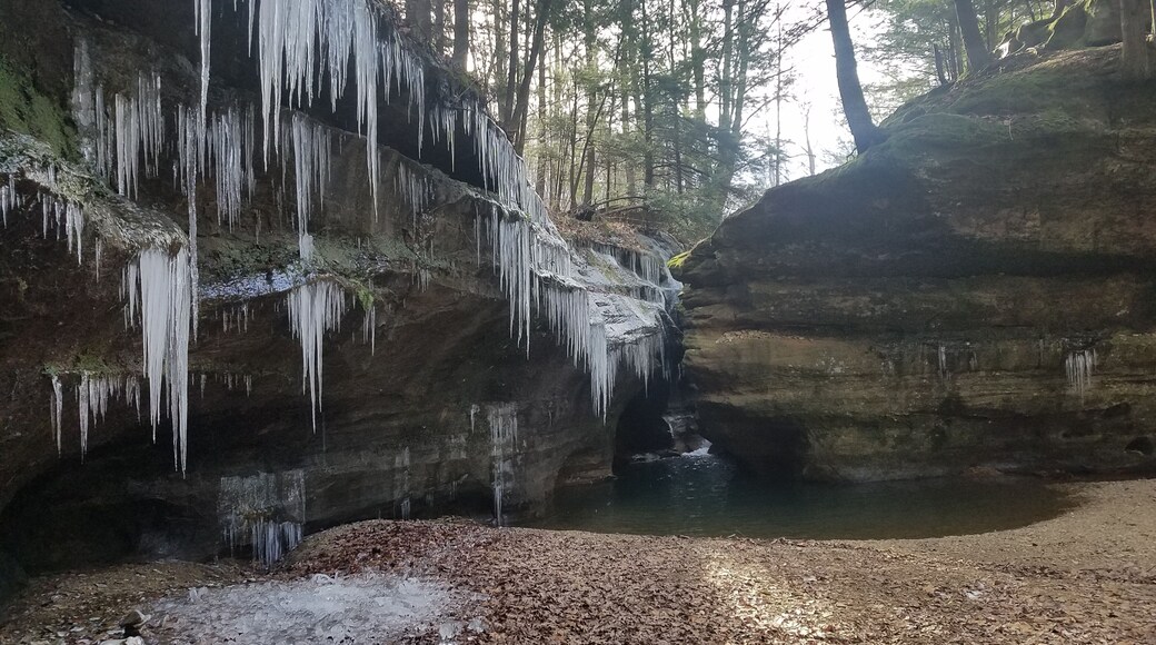 First day of winter and some nice ice formations have started.