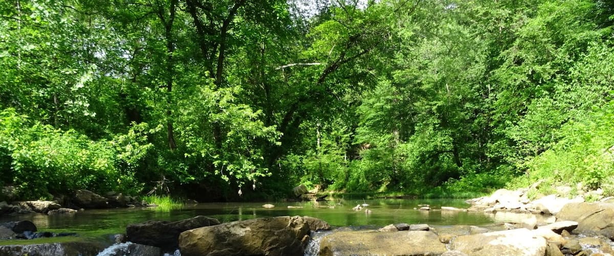 A shot of  the 114-mile-long Raccoon Creek as it passes near the Moonville Tunnel.
At one time, a railroad trestle carried the tracks over Raccoon Creek.
The Moonville Rail-Trail, a sixteen-mile #hiking trail comprising the abandoned railway inside the Zaleski State Forest. 
About all that remains of Moonville is an old railroad tunnel. The town sprang up in the late 1800's because of the Marietta and Cincinnati railroad building through the uninhabited forest on its way to Cincinnati. 
The coal town's population peaked at just over one hundred. The last family left town in 1947. By the 1960s most of the buildings were gone and only the tunnel survives today.
