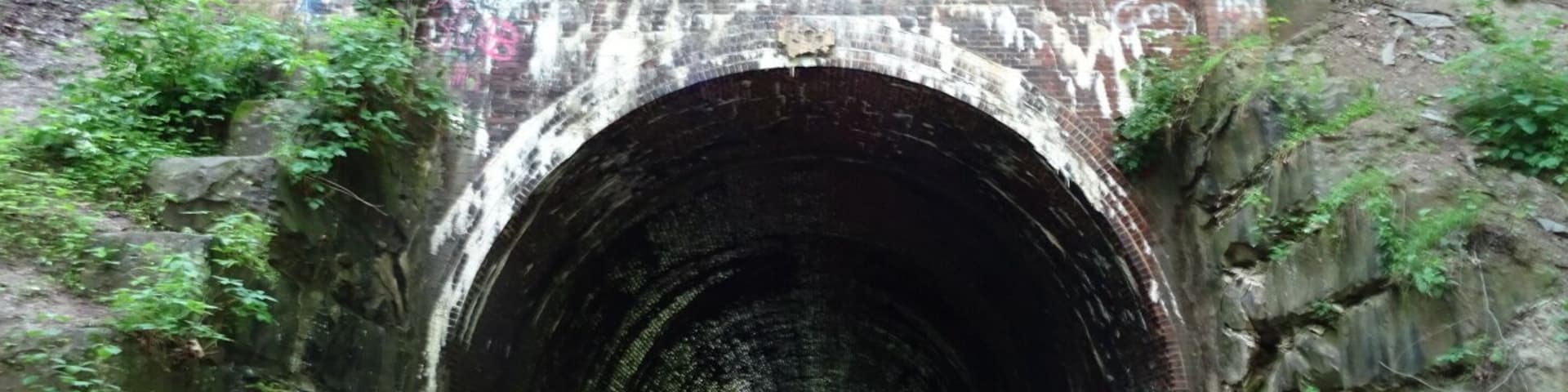 About all that remains of Moonville is this old railroad tunnel. The town sprang up in the late 1800's because of the Marietta and Cincinnati railroad building through the uninhabited forest on its way to Cincinnati.
The coal town's population peaked at just over one hundred. The last family left town in 1947. By the 1960s most of the buildings were gone and only the tunnel survives today.
The Moonville Tunnel can be accessed via The Moonville Rail-Trail, a sixteen-mile #hiking trail comprising the abandoned railway inside the Zaleski State Forest.