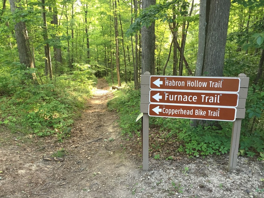 Hope Lake State Park has a surprising amount of fantastic single track mountain biking! Multiple trails that go for miles through the deep woods, across streams, up and down hills.