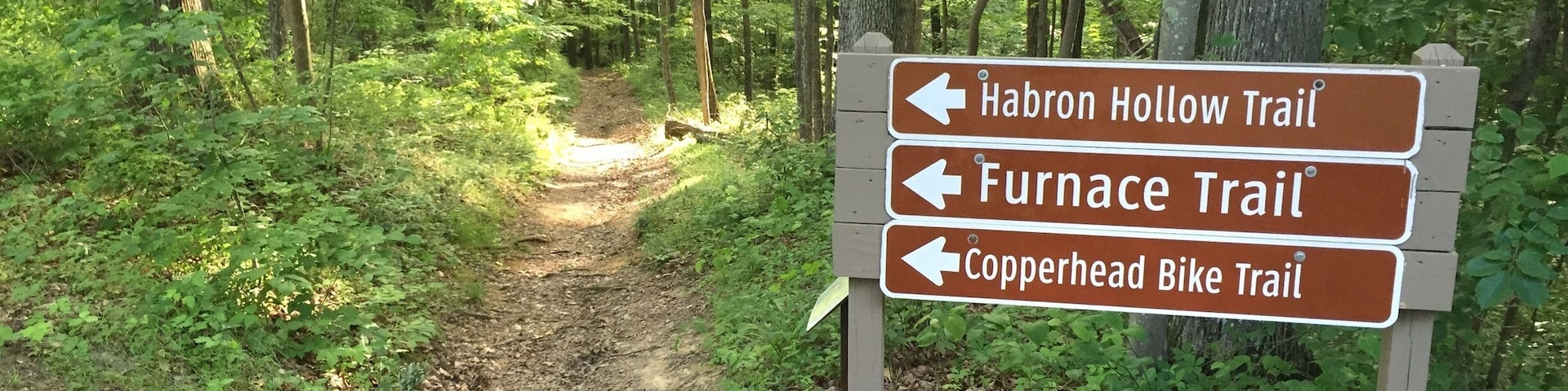 Hope Lake State Park has a surprising amount of fantastic single track mountain biking! Multiple trails that go for miles through the deep woods, across streams, up and down hills.