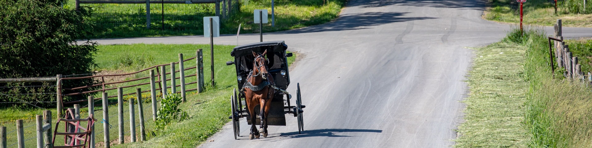 Amish horse and buggy on a country road in the summer in Holmes County, Ohio, near Berlin and Mount Hope