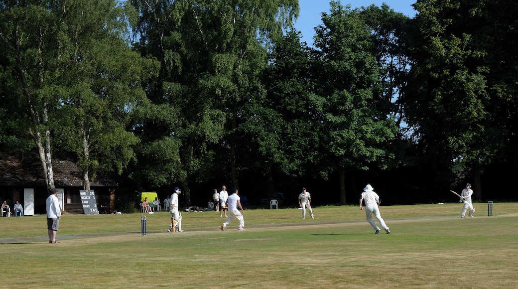 A village cricket match between Grafham and Smithbrook, and Alton