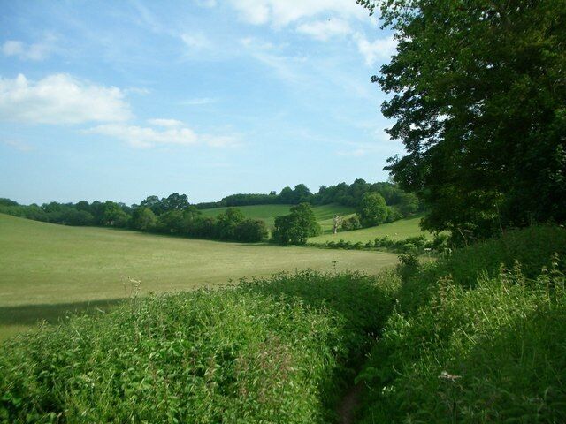 Fields near Bramley. The bridleway is barely a footpath at this point, being marked by the narrow gap through the nettles in the foreground