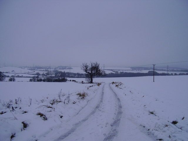 On Firsby lane. Snowy scene