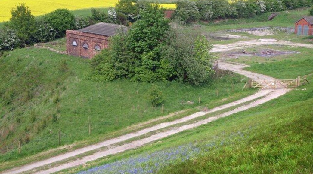 Disused water treatment works Below Thrybergh reservoir dam, bluebells abound.