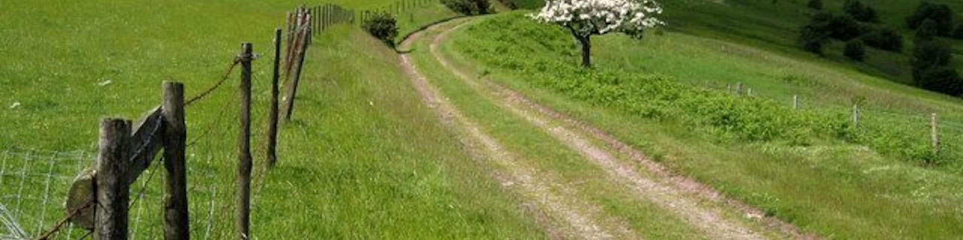 High level farm track