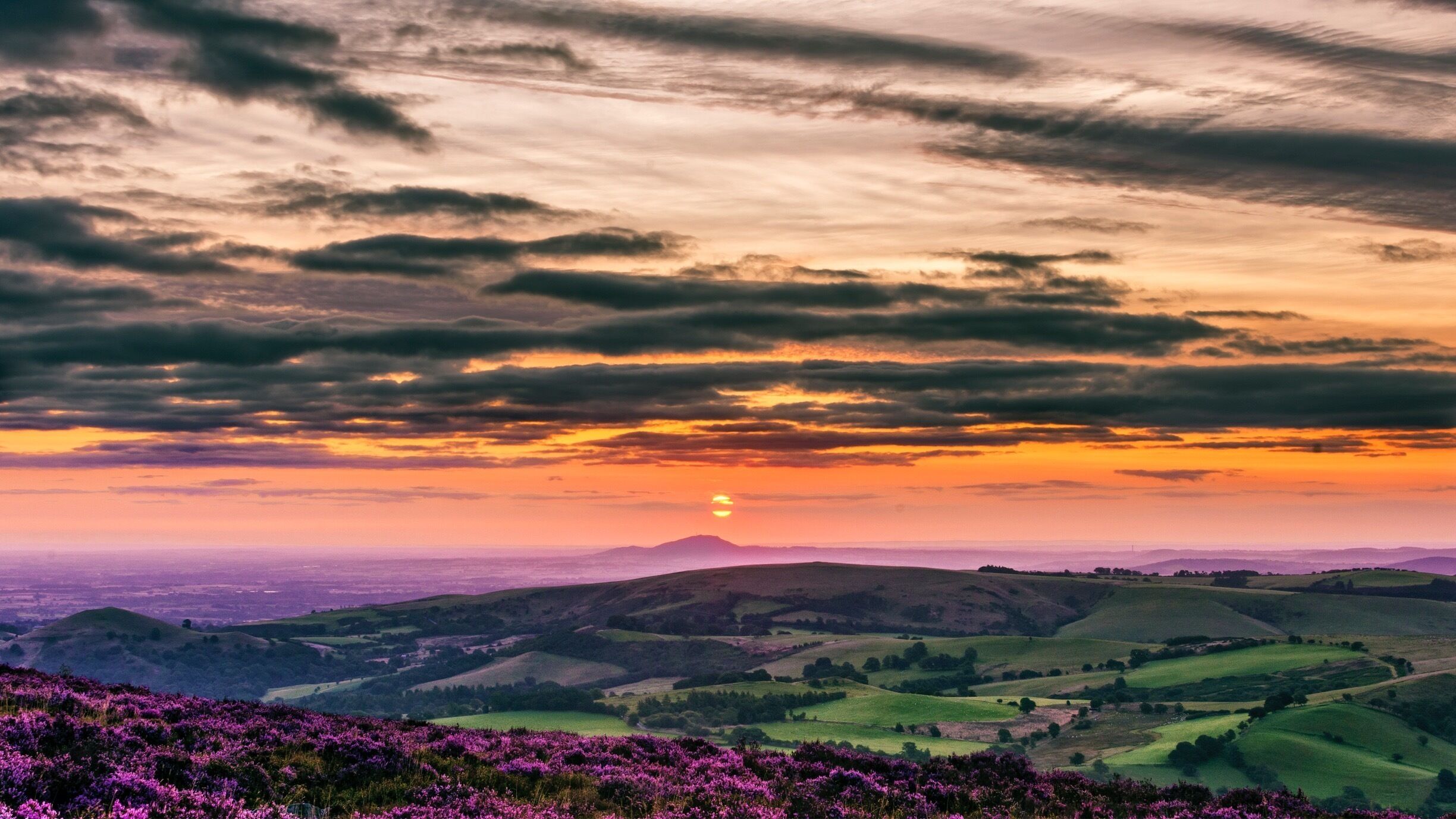 A sunset over rolling hills with purple heather fields.