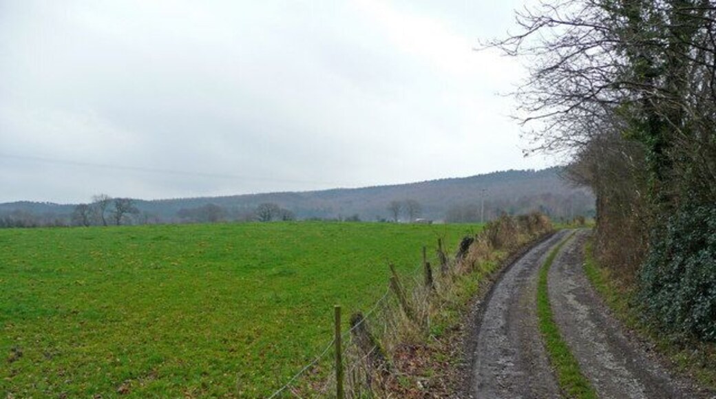 Track to Lower House View north-east across pasture land towards Callow Hill.