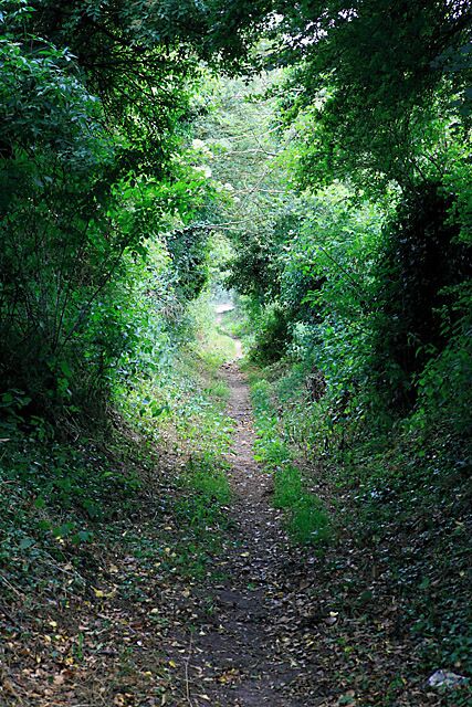 Salterton to Hurdcott footpath as it descends into Hurdcott.