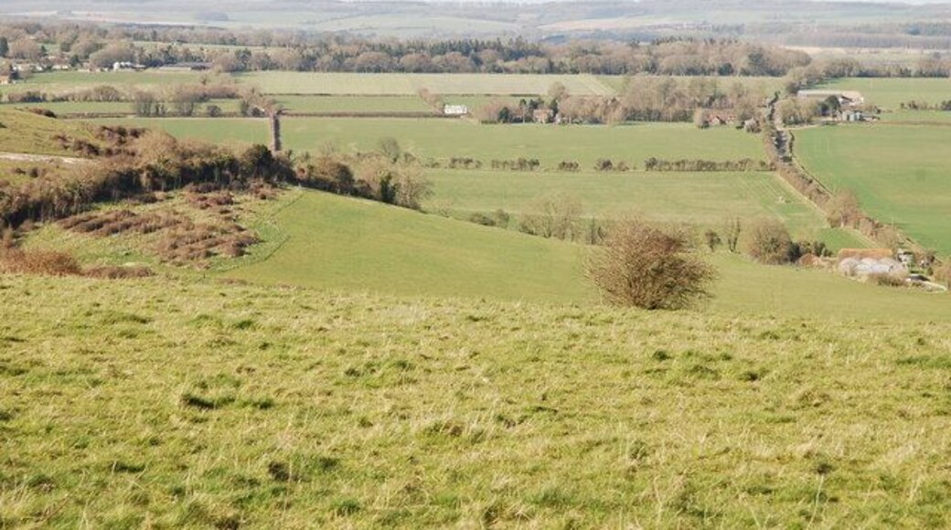 Looking down to Sheep Well from Sutton Down