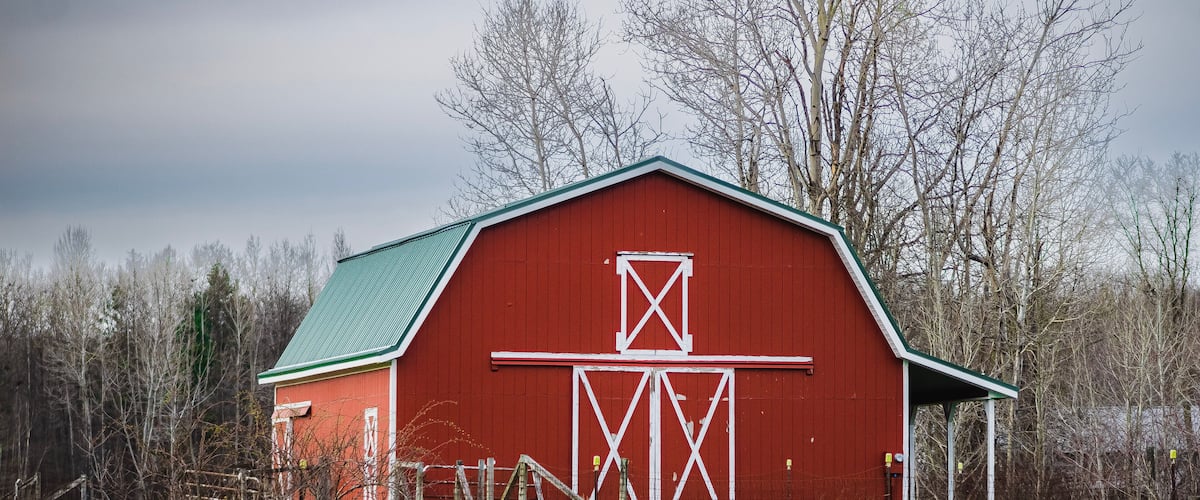 A red barn with a green roof, surrounded by a grassy field and leafless trees.