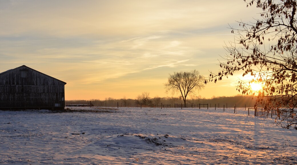 Sunrise casting a golden glow on the farm on a snowy winter morning