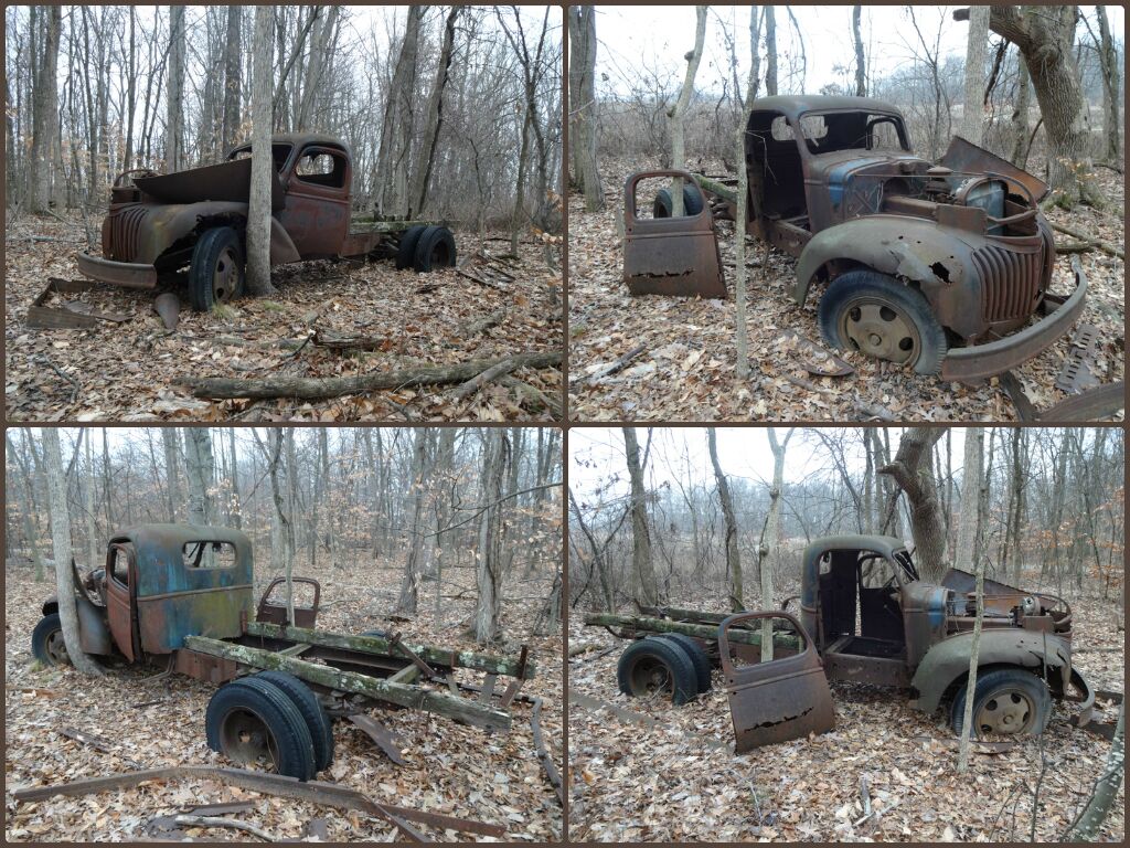 A 1937 Chevy truck rusting away in the woods just off the Marsh Hawk Trail at Glacier Ridge Metro Park.

I wonder if it crashed into that tree and was left behind or if it was just simply abandoned and the tree has since sprouted there by happenstance.