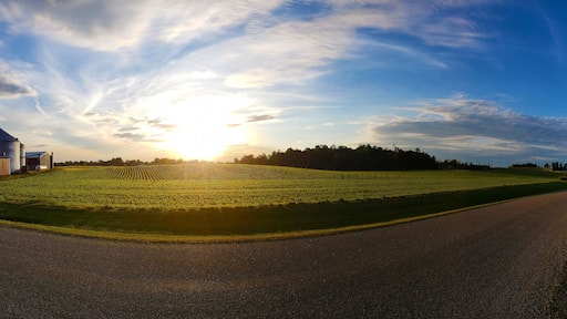 ํ๋ ์ธ ์ํฐ