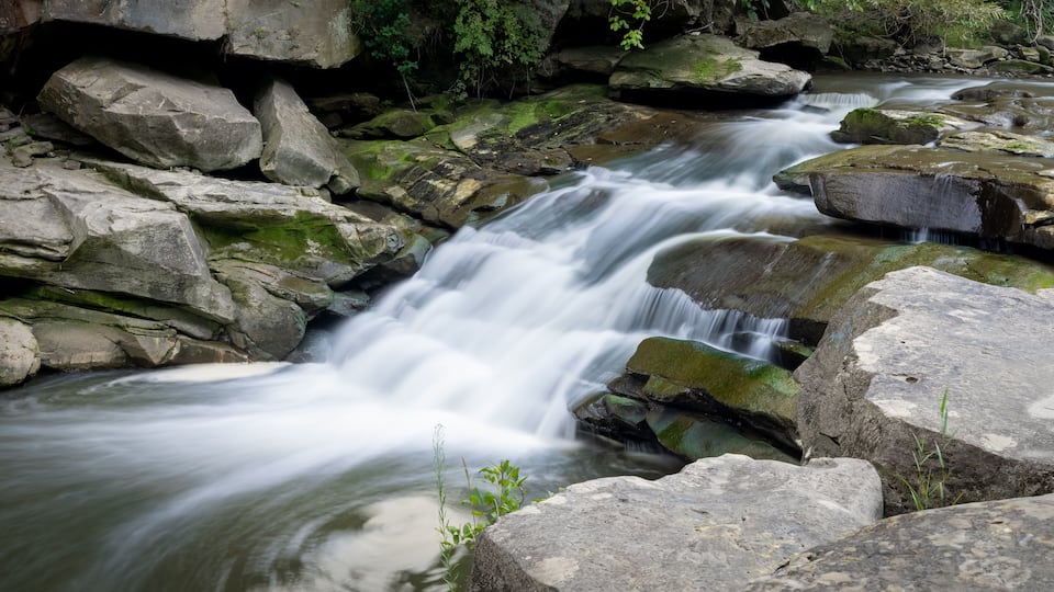 A flowing river with rocks and greenery.