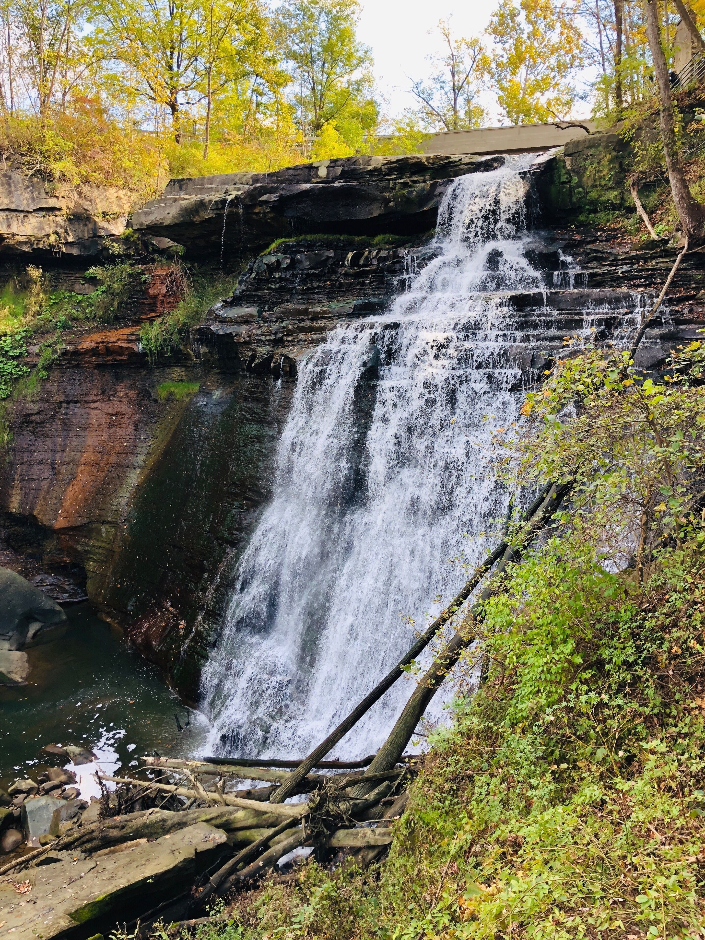 Great viewing platforms. Recommend for those who can't hike very far. 