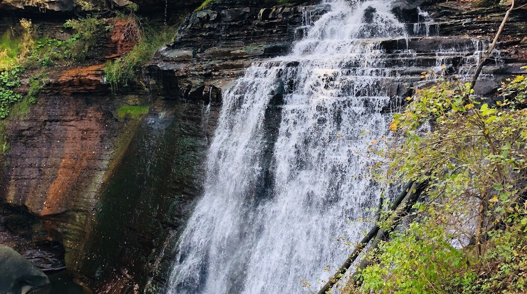 Great viewing platforms. Recommend for those who can't hike very far.