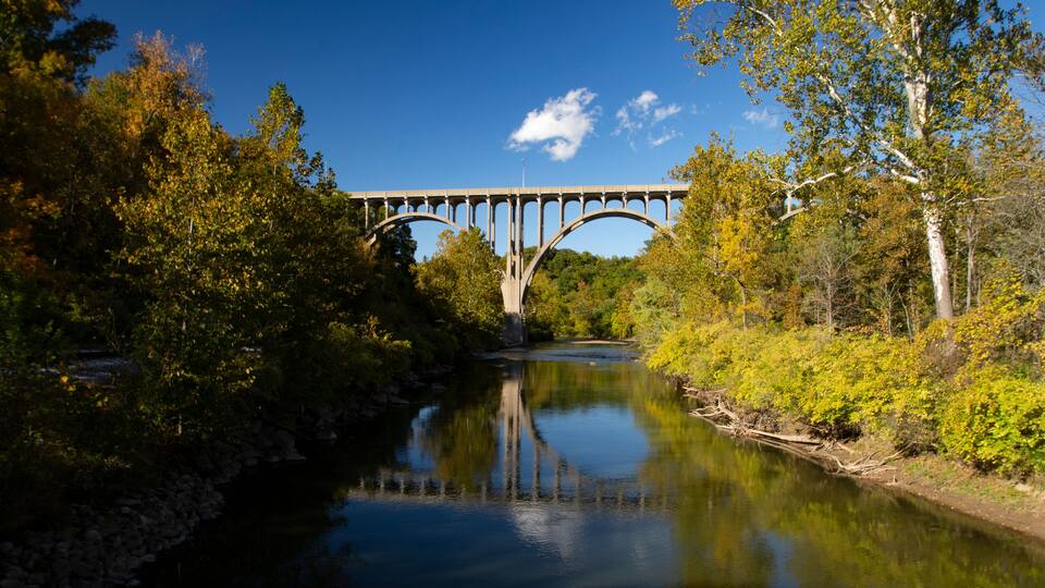 A bridge over a river with surrounding trees and foliage.