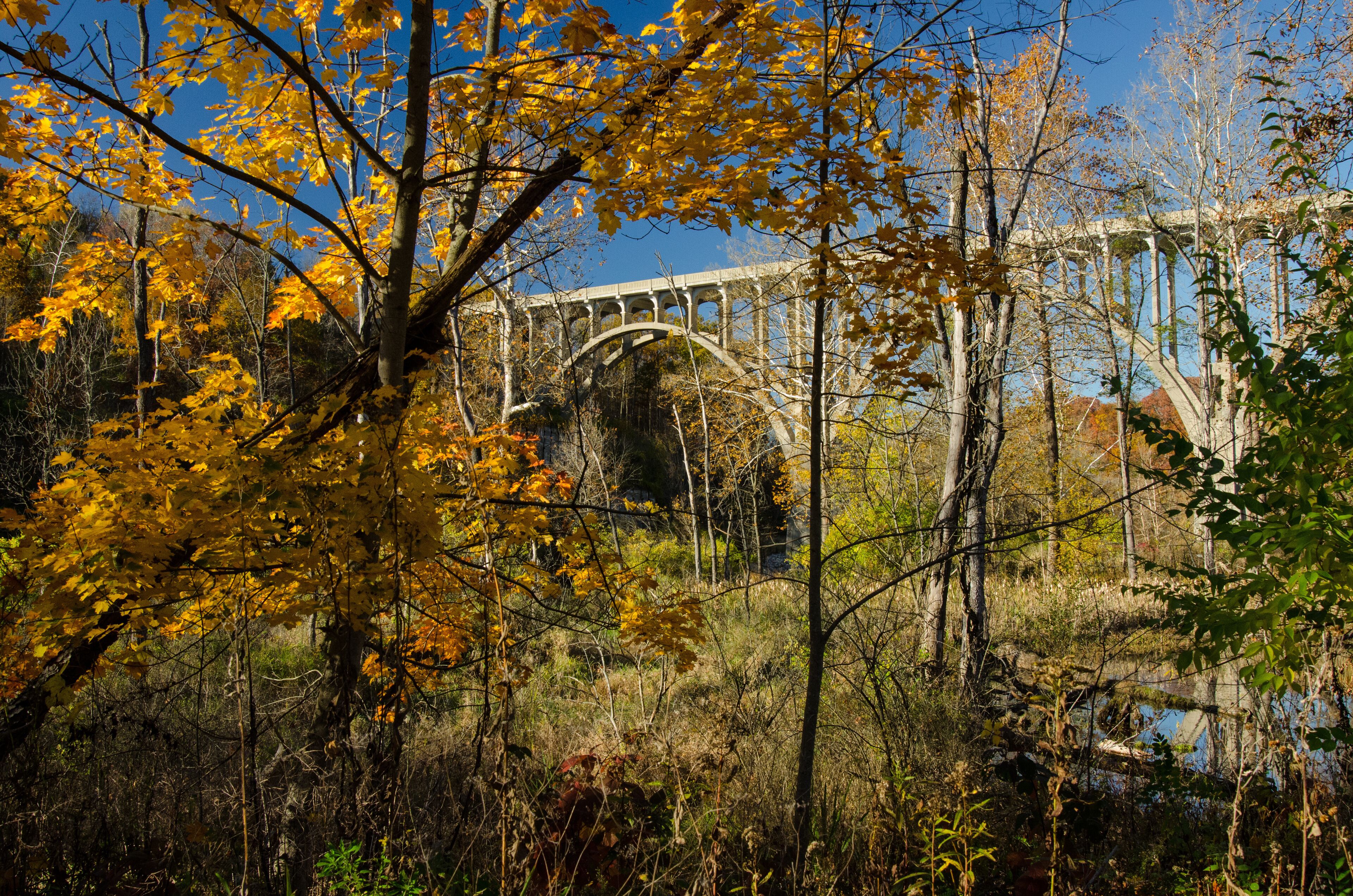 A bridge with arches surrounded by autumn foliage.