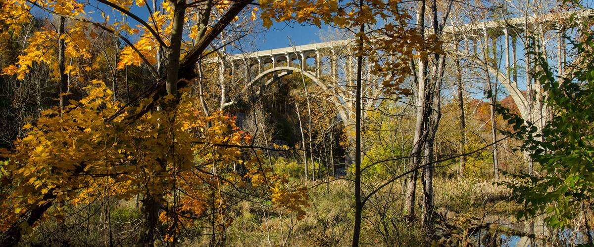 A bridge with arches surrounded by autumn foliage.