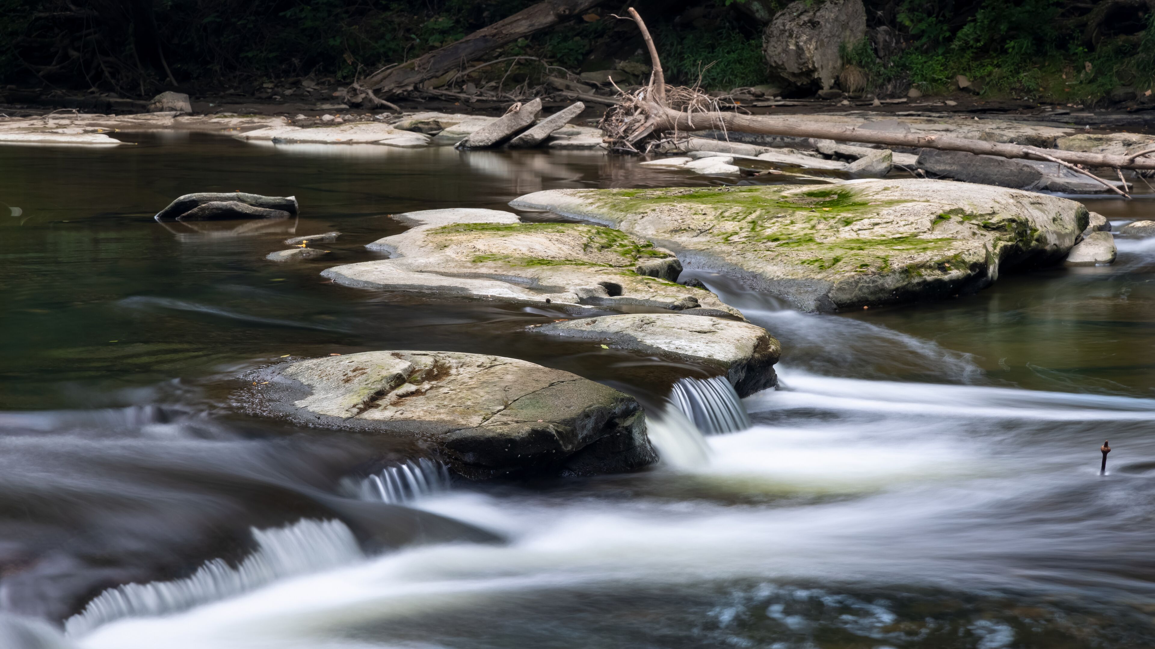 A river with a smooth water flow over rocks, surrounded by a forested area.