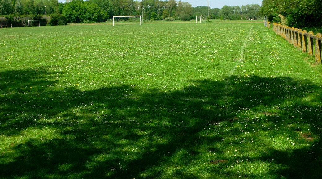 Not sure what league the team play in as there is no team affiliated to the French football federation.