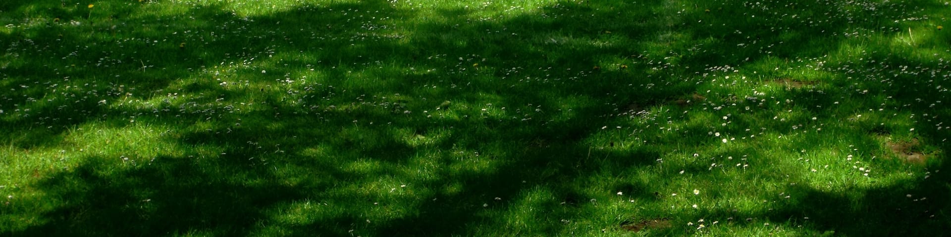 Not sure what league the team play in as there is no team affiliated to the French football federation.