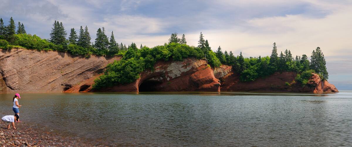 A rocky shoreline with a calm body of water, dense green trees, and a clear sky.
