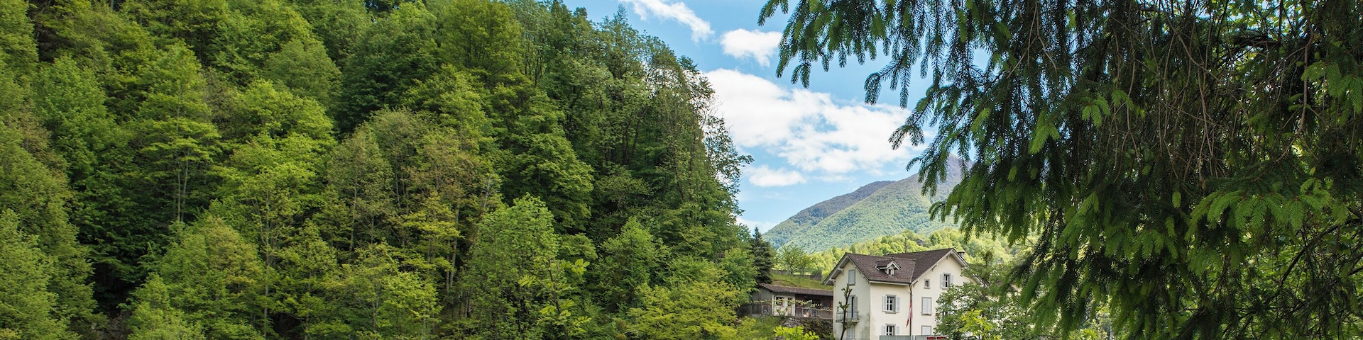 Progetto Parco Nazionale del Locarnese - Centovalli - Ponte Rebellasca and Camedo - Customs