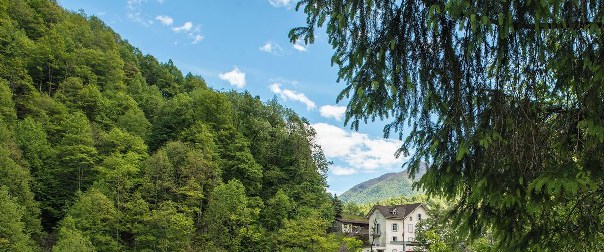 A stone bridge with arches over a forested valley, a mountain in the background, and a building with a sloped roof.