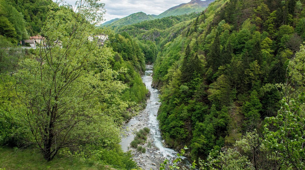 Progetto Parco Nazionale del Locarnese - Centovalli - Melezza and Camedo