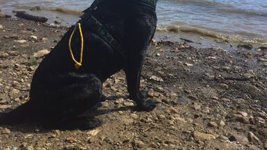 The start of BigFoot trail at Delaware State Park