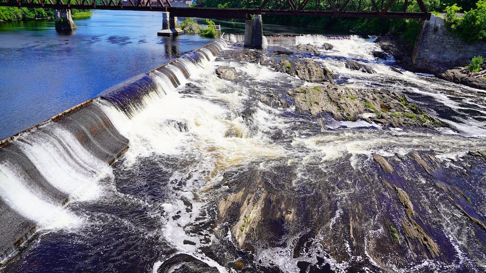 A dam with a waterfall, a bridge, and greenery in the background.