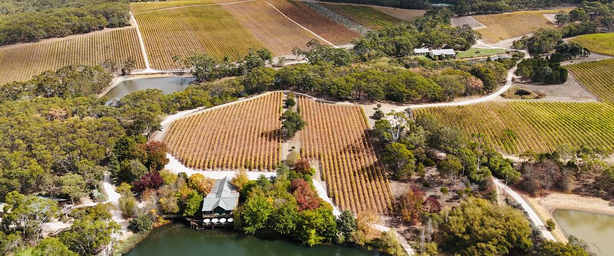 K1 Wines, Kuitpo, South Australia: Aerial Drone Image Featuring Vibrant Autumn Vineyards, Tree Lined Lake, Scenic Winery Setting, Forest Backdrop, and Rolling Hills in the Southern Mount Lofty Ranges
