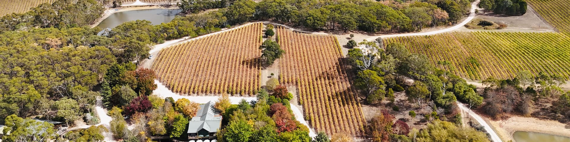 K1 Wines, Kuitpo, South Australia: Aerial Drone Image Featuring Vibrant Autumn Vineyards, Tree Lined Lake, Scenic Winery Setting, Forest Backdrop, and Rolling Hills in the Southern Mount Lofty Ranges