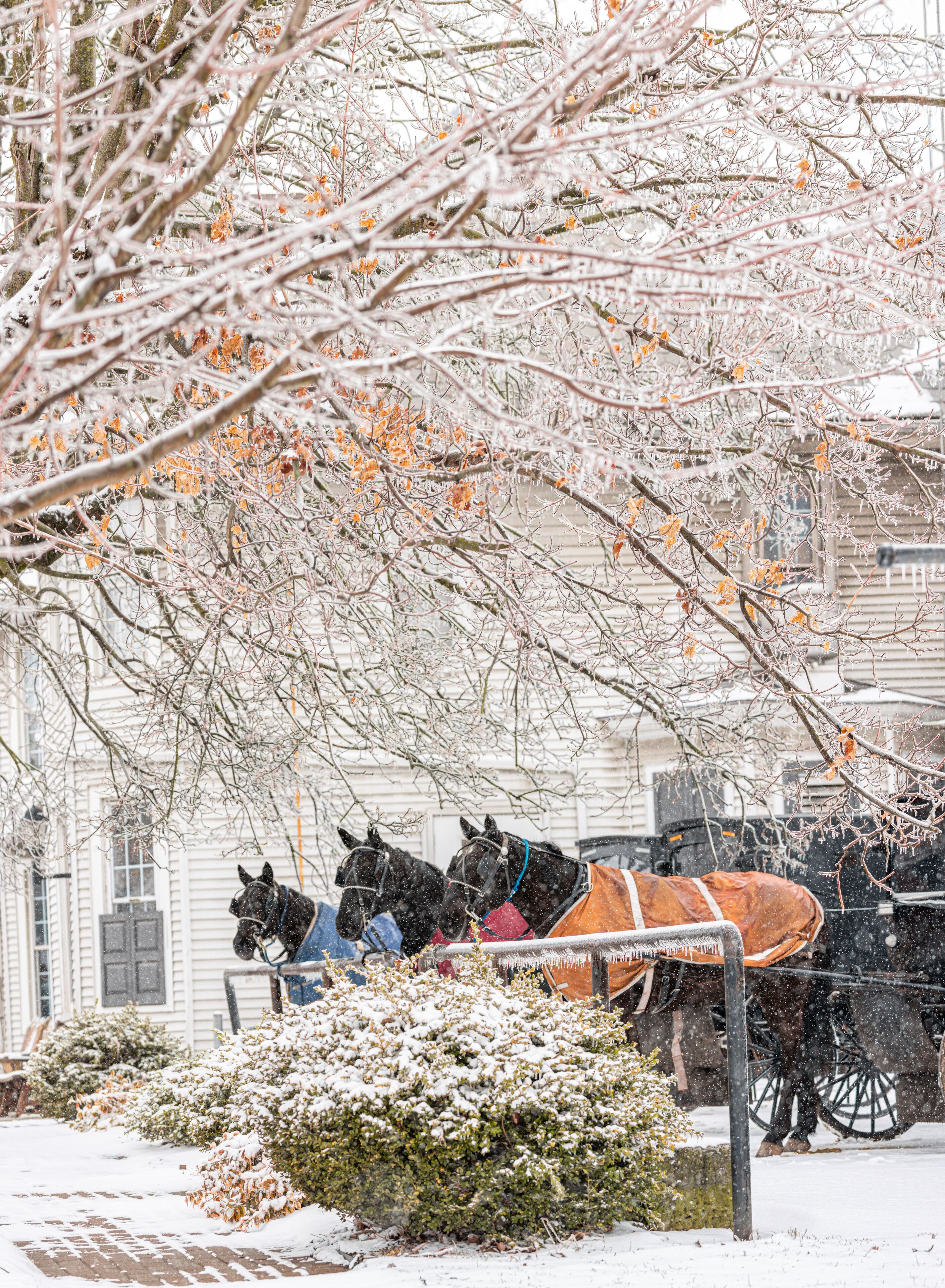 Three Amish horse and buggies parked at a hitching rail near a general store in winter | Winesburg, Ohio