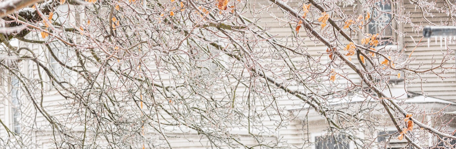 Three Amish horse and buggies parked at a hitching rail near a general store in winter | Winesburg, Ohio