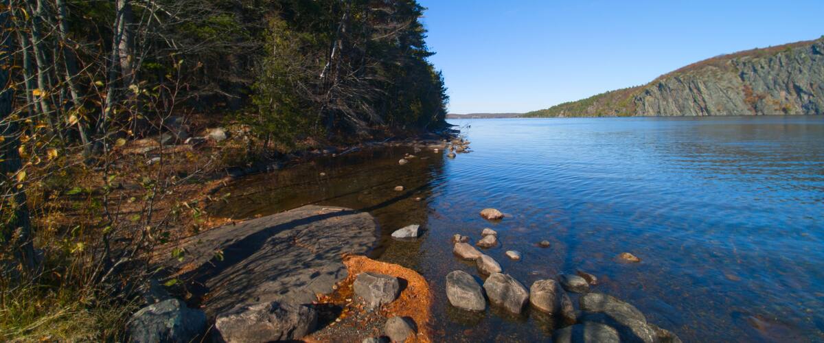 A clear lake with rocky shores, surrounded by dense forest and a distant mountain.