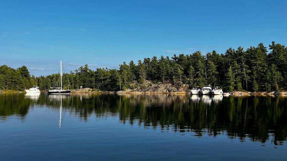 A calm lake with several boats anchored near a forested shoreline.