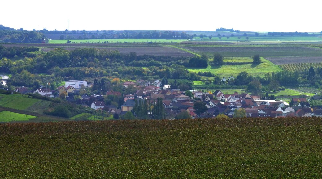 Rheinhessen - Sulzheim