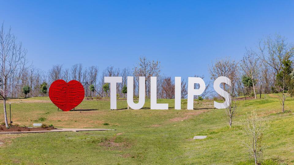 A grassy field with large white letters spelling "TULIPS" and a red heart in the center.