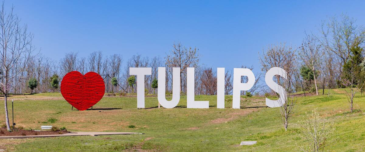 A grassy field with large white letters spelling "TULIPS" and a red heart in the center.