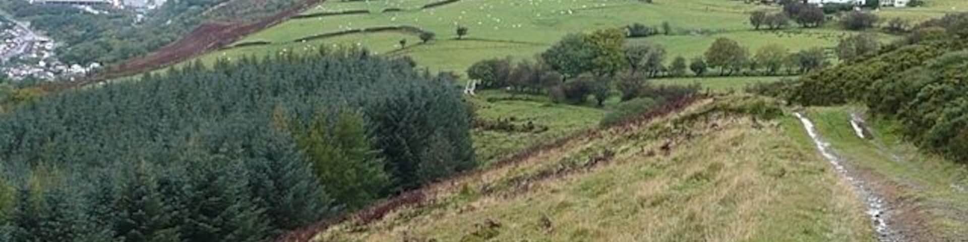 Track from Mynydd y Capel Going north, the track descends to the road towards Penddeaugae Fach Farm, seen ahead overlooking the Taff valley.