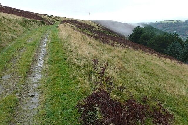 A grassy hillside with a muddy path and a distant power line.