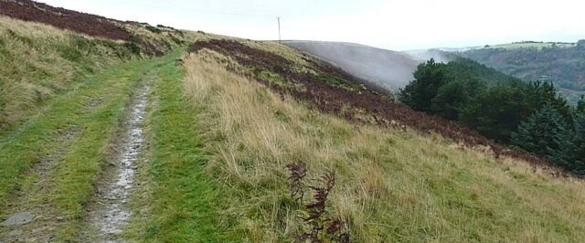 A grassy hillside with a muddy path and a distant power line.