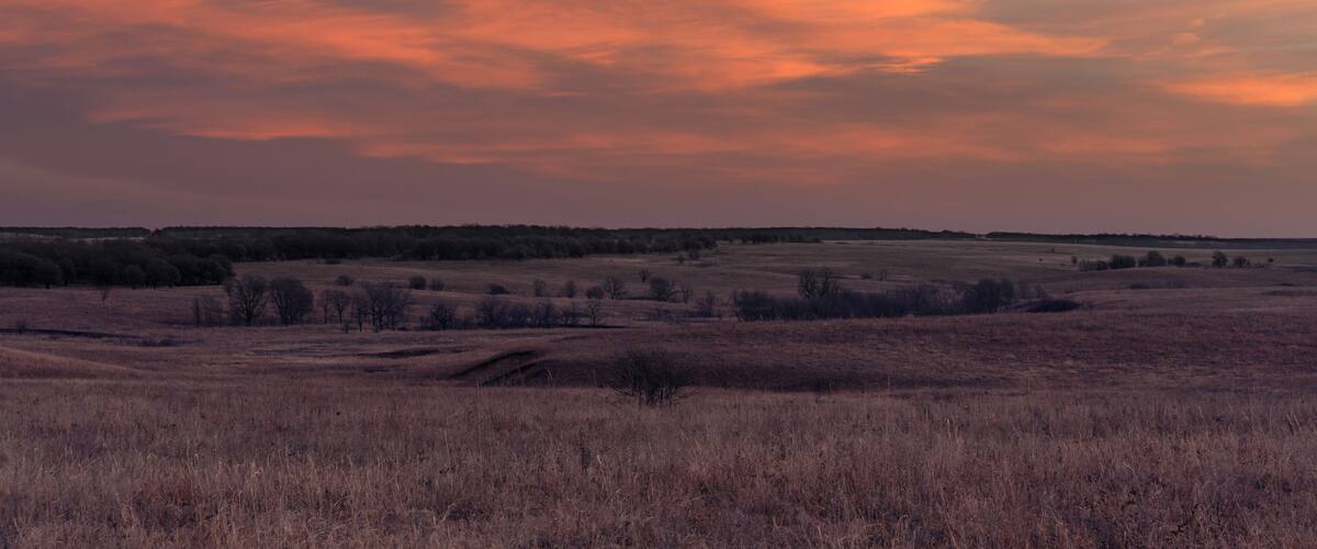 A sunset over a grassy field with a line of trees in the distance.